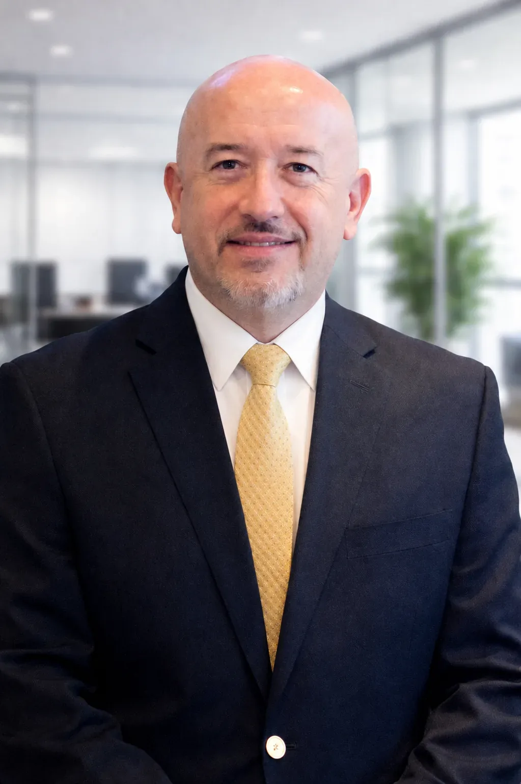 Ramon Izquierdo V.L., Artelye team member